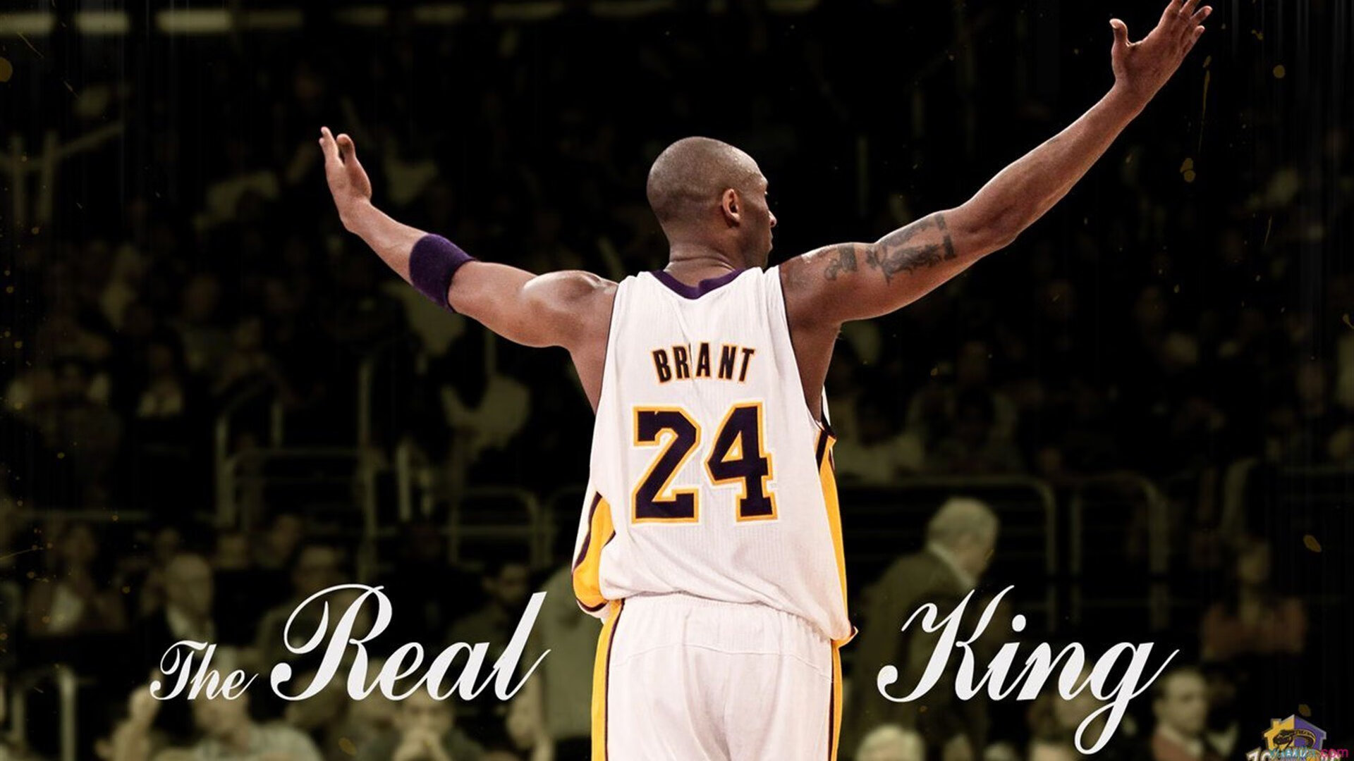 “尼古拉斯·桑特基:阿根廷美洲狮队的进攻大师,未来更具竞争力”